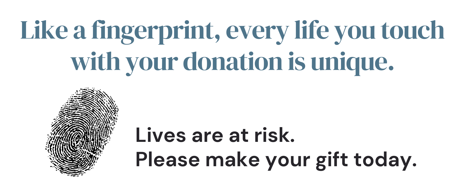 Graphic: one black fingerprint on a white background. Text: Like a fingerprint, every life you touch with your donation is unique. Lives are at risk. Please make your donation today.